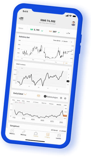 Applicazione web digitale Torre Capitezza visualizzata su un dispositivo mobile